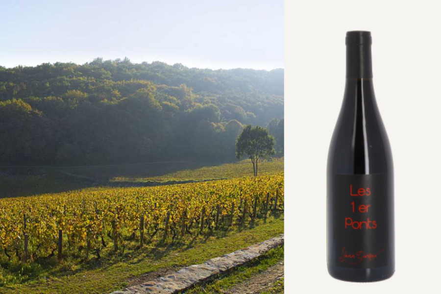 Domaine Yann Durieux